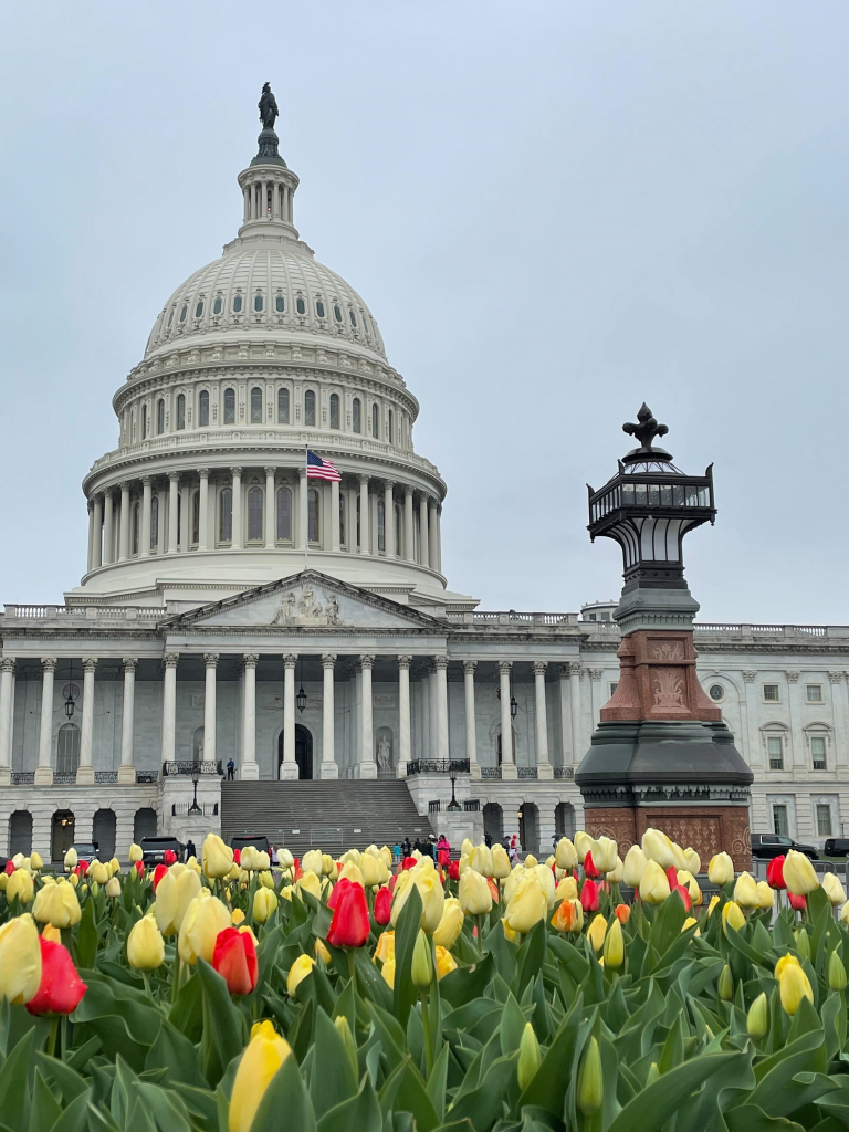 DTA Convened Industry Leaders for Event on Capitol Hill to Advocate for